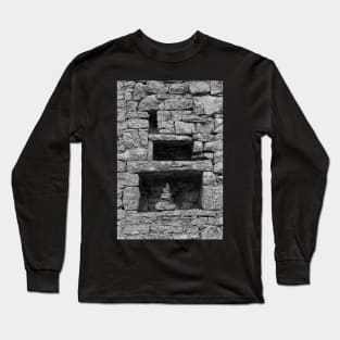 Wall Detail in Dvigrad Long Sleeve T-Shirt